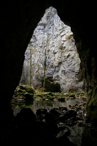 Rakov Skocjan