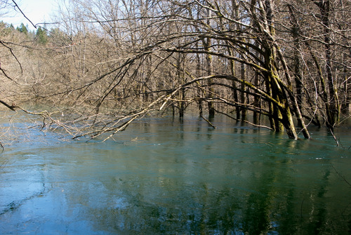 Rakov0009.JPG