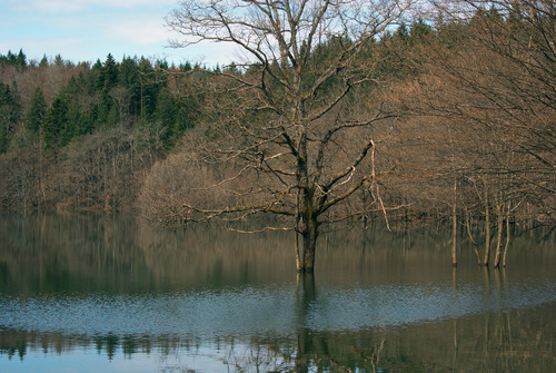 Rakov0010.JPG