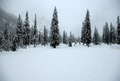 Val Fiscalina, panorama invernale