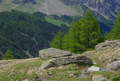 Primavera nel Parco Nazionale del Gran Paradiso