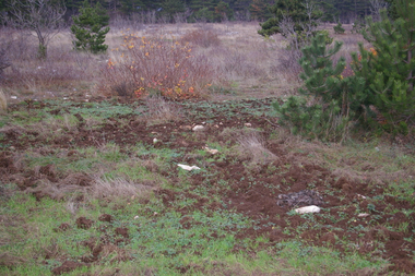 Arature sul terreno