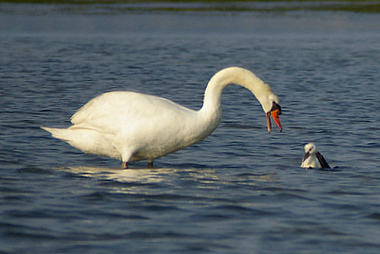 Mamma e figlio